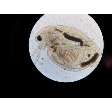 Biologie - Außerschulische Lernorte