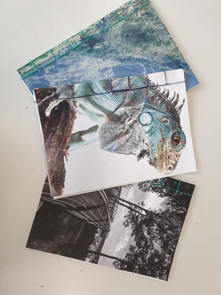 WhatsApp Image 2023 09 13 at 20.35.20 5