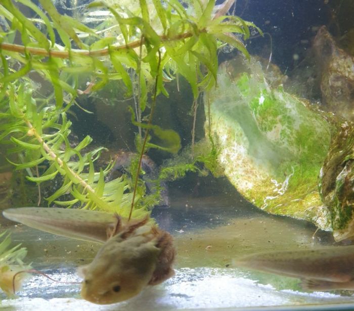 20210310 204158 700x615