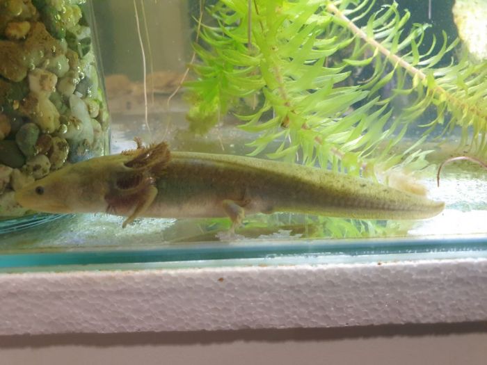 20210310 204207 700x525