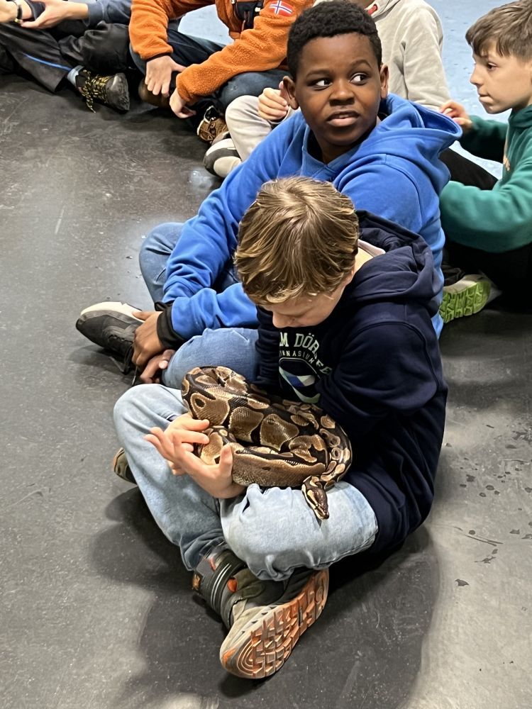 03ag schlangen 750x1000