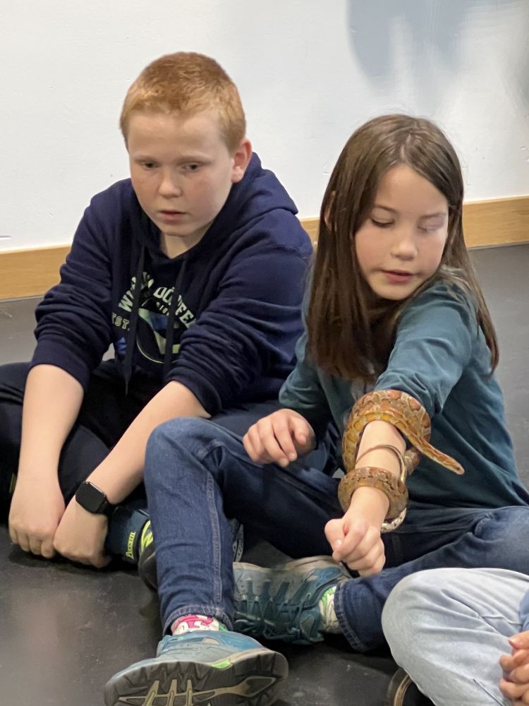 05ag schlangen 750x1000