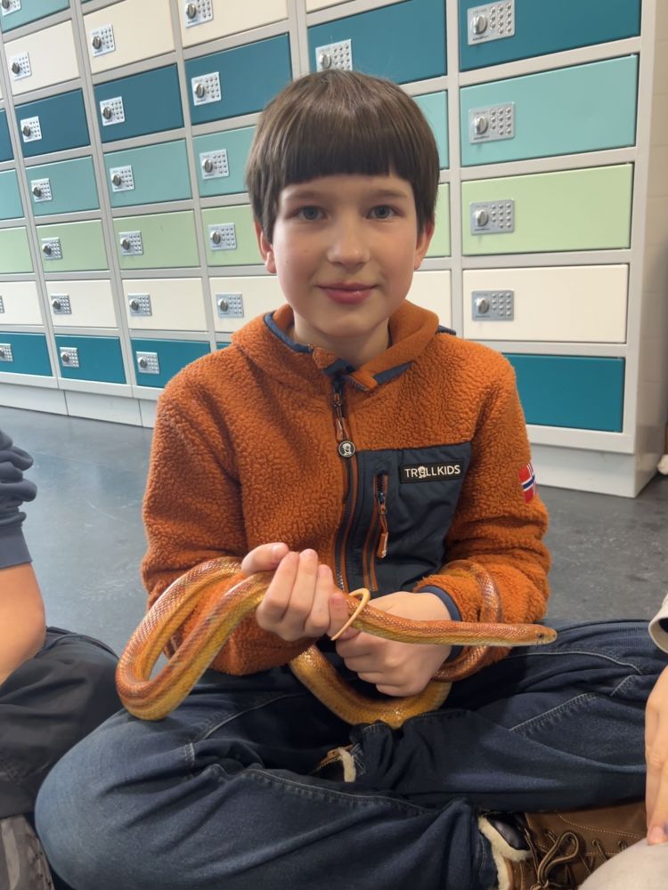 08ag schlangen 750x1000