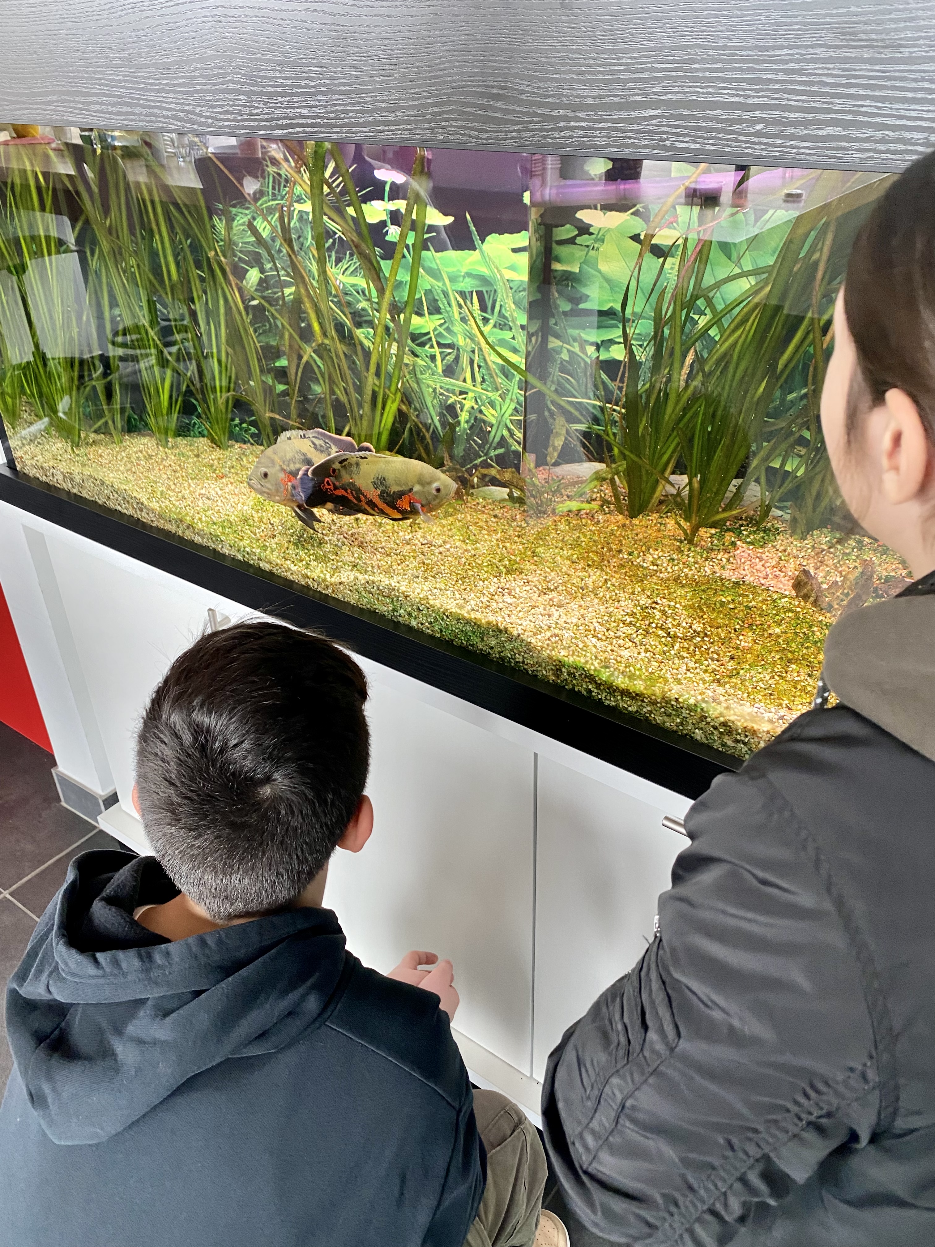 1A63B1F3 67B7 459B 828A FABA65482A781