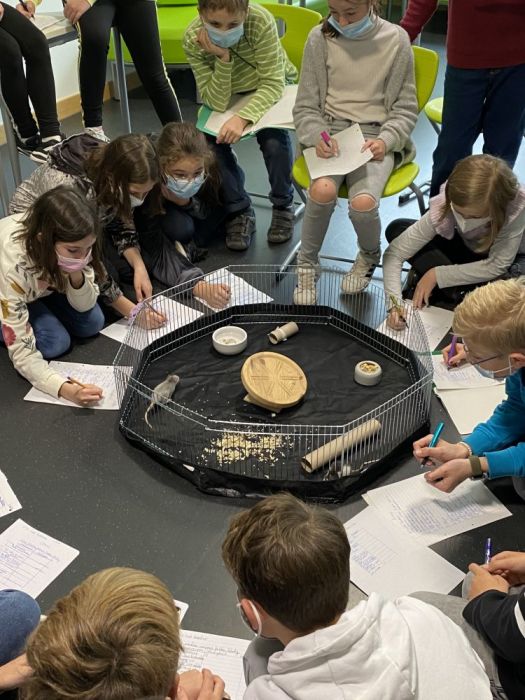 klassentier5a1 525x700