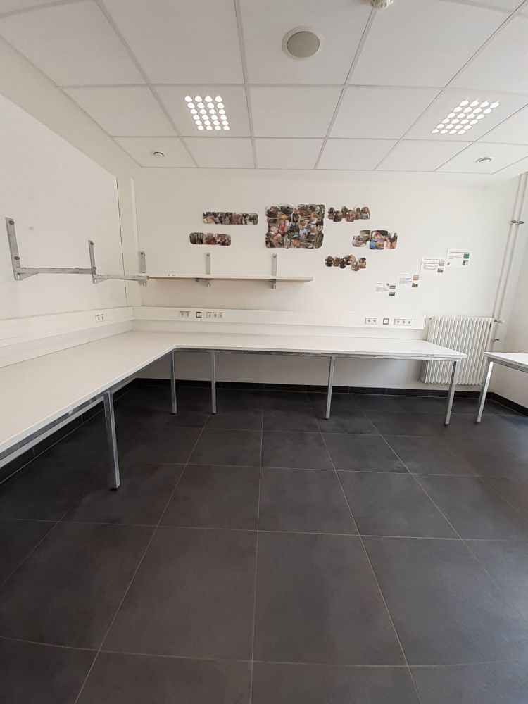 photo 2022 05 04 22 10 431 750x1000