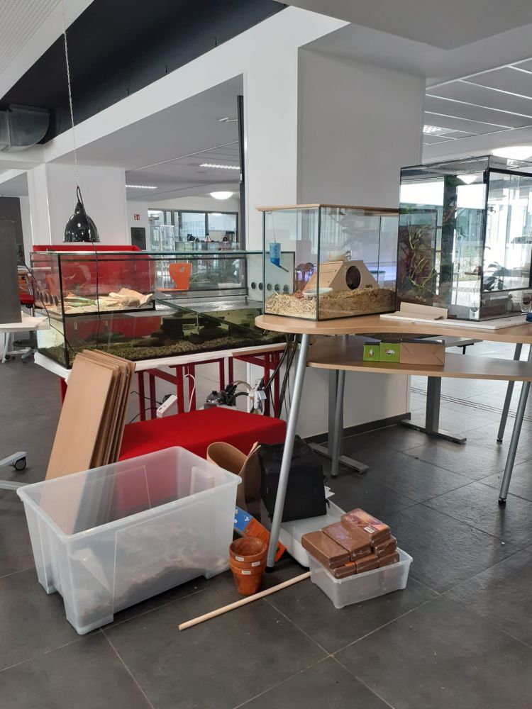 photo 2022 05 04 22 10 45 3 750x1000