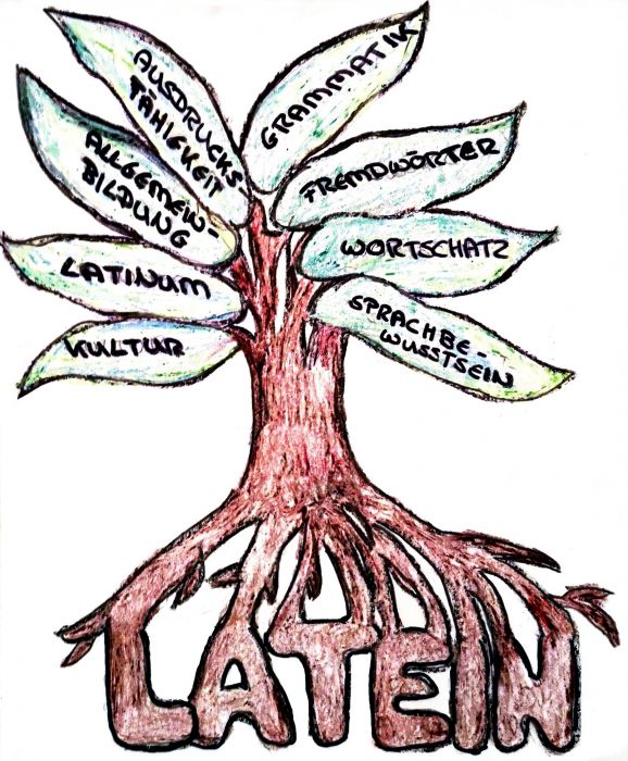 Latein ab Klasse 5 am WDG