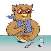 eule_mensa_kopf_grer_bunt8